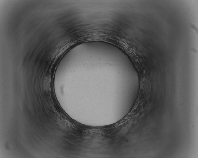 X0000093230146200709261659