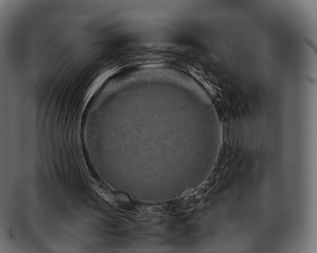 X0000093230147200709261659