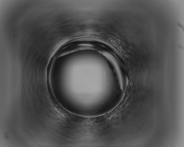 X0000093230148200709261659