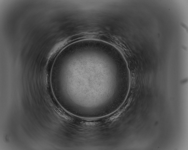 X0000093230149200709261659