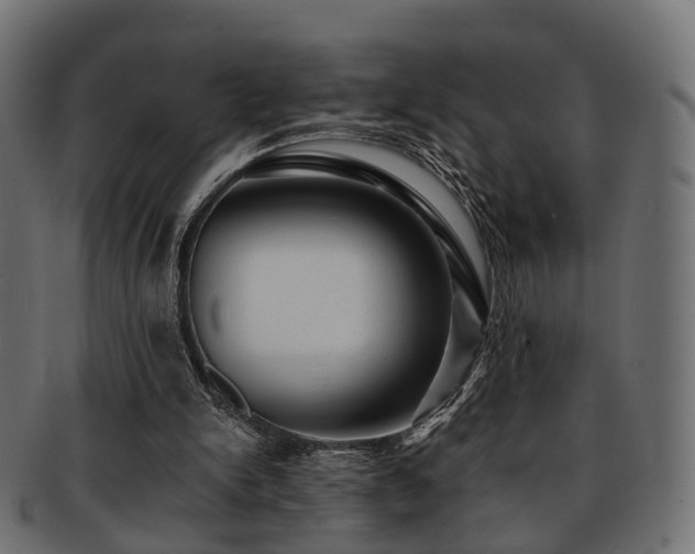 X0000093230150200709261659