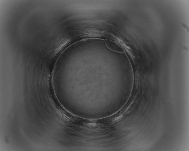 X0000093230153200709261659