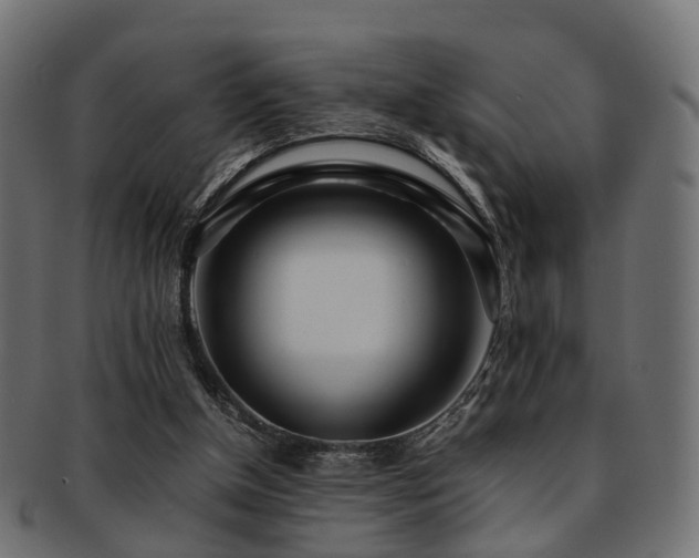 X0000093230154200709261659