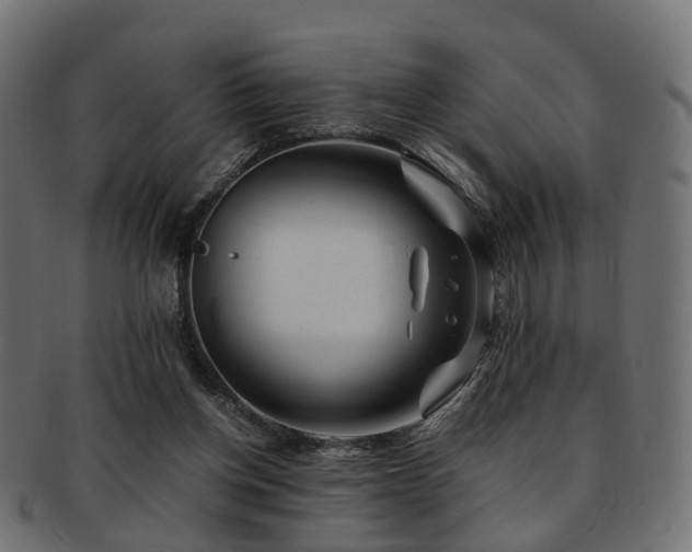 X0000093230158200709261659