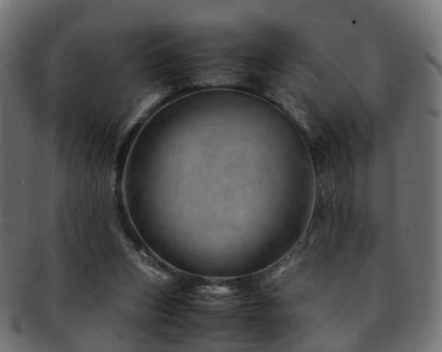 X0000093230159200709261659
