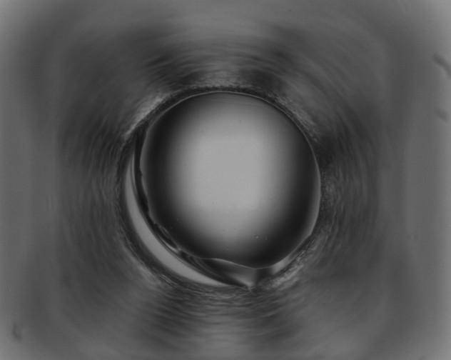 X0000093230160200709261659
