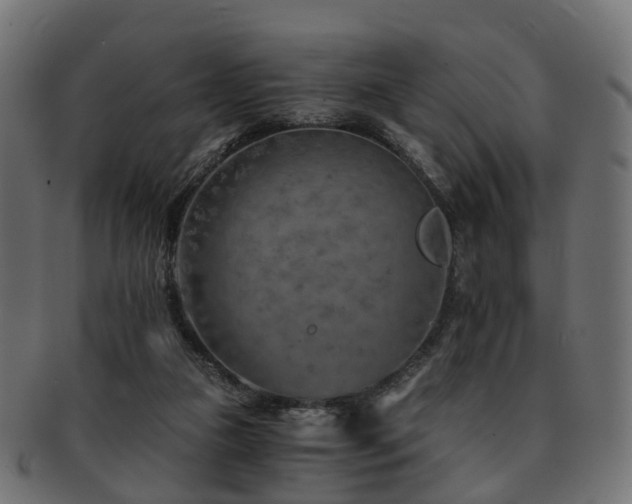 X0000093230161200709261659