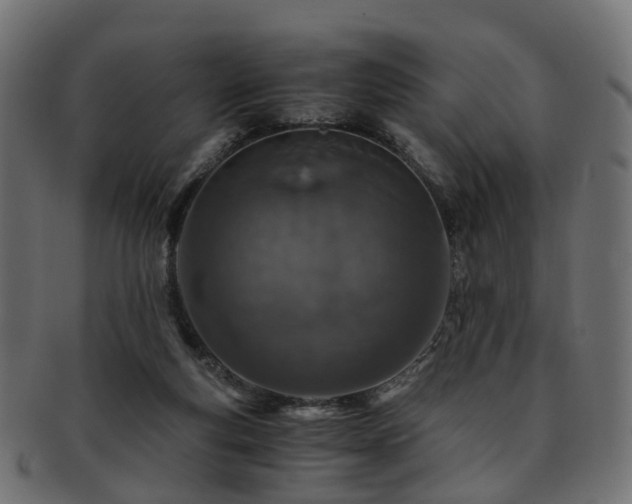 X0000093230163200709261659