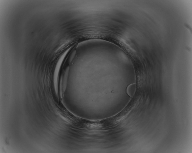 X0000093230165200709261659