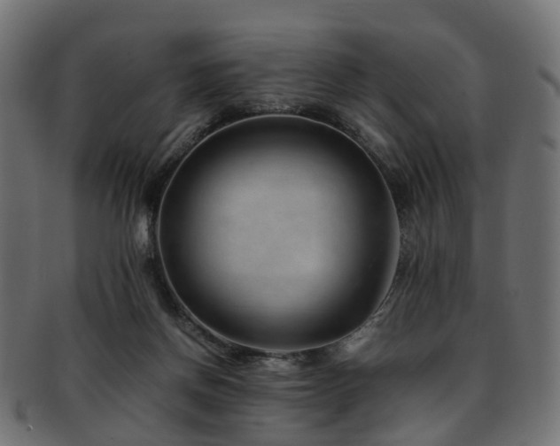 X0000093230166200709261659