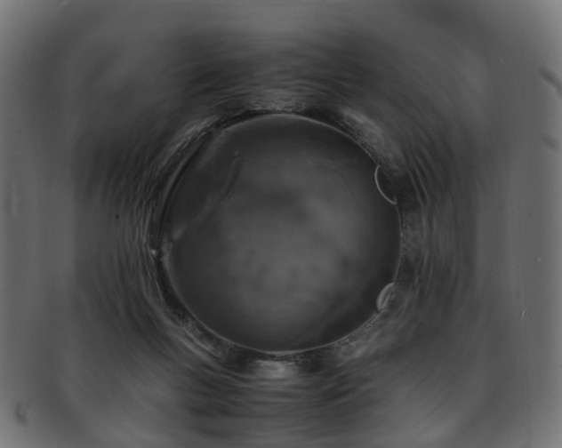 X0000093230167200709261659