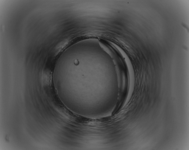 X0000093230168200709261659