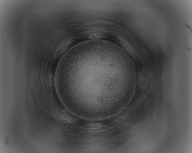 X0000093230169200709261659