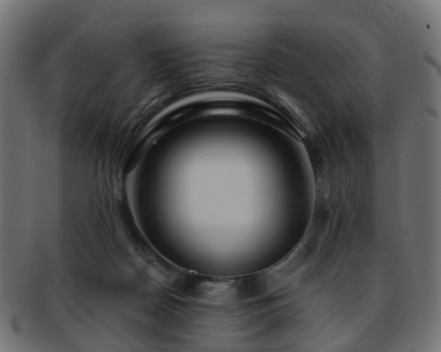 X0000093230170200709261659