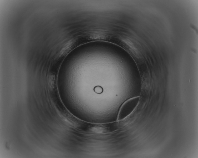 X0000093230171200709261659