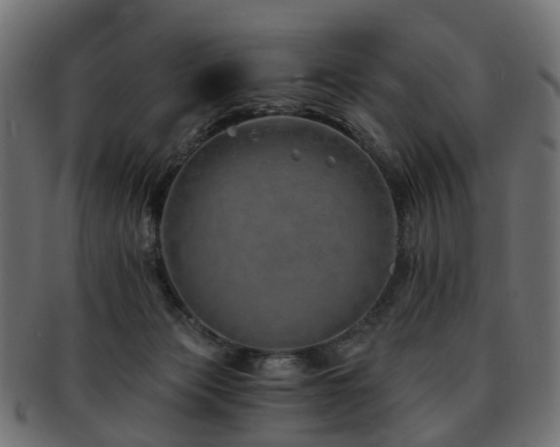 X0000093230173200709261659
