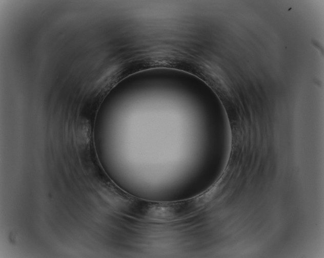 X0000093230174200709261659