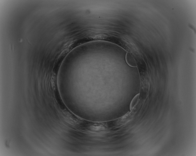 X0000093230175200709261659