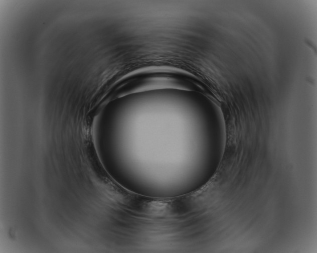 X0000093230176200709261659
