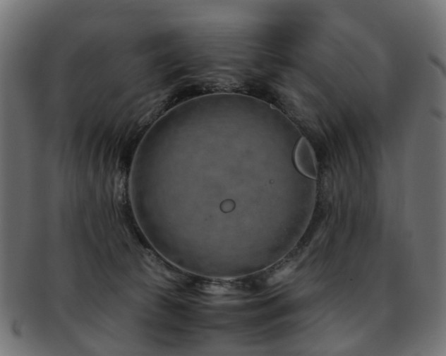 X0000093230177200709261659