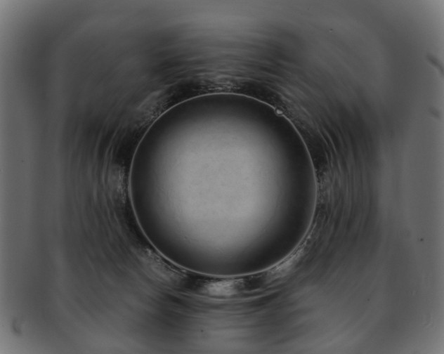 X0000093230178200709261659