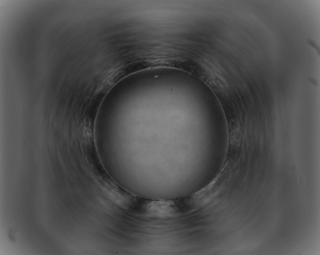 X0000093230179200709261659