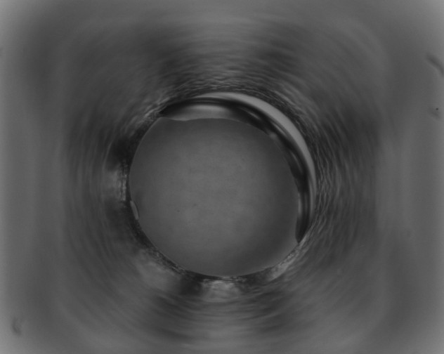 X0000093230180200709261659