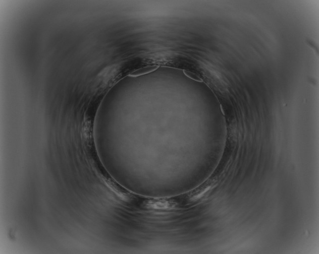 X0000093230181200709261659