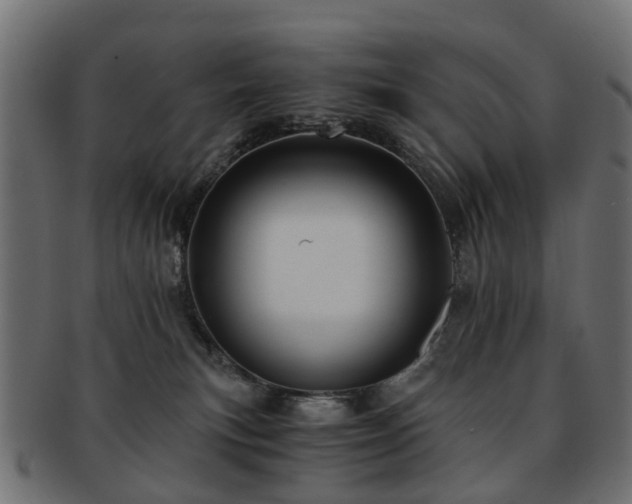 X0000093230183200709261659