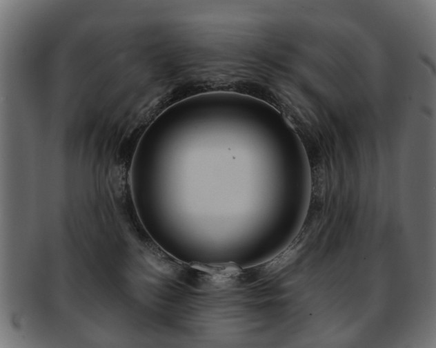 X0000093230184200709261659