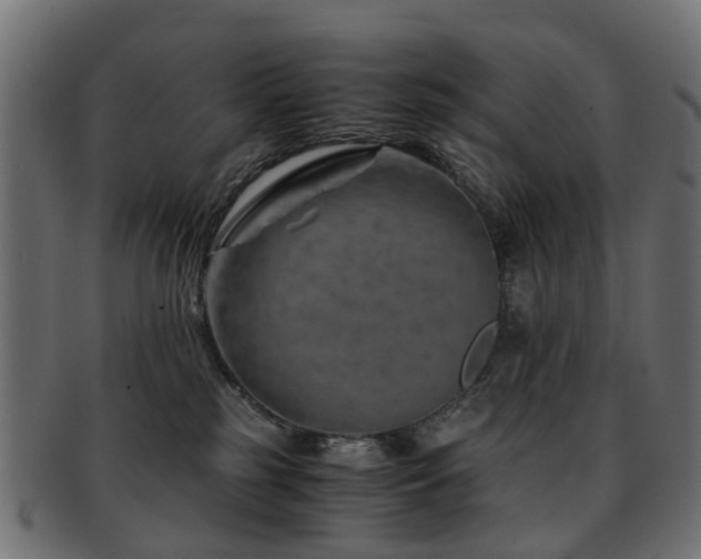 X0000093230185200709261659