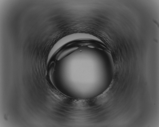 X0000093230186200709261659