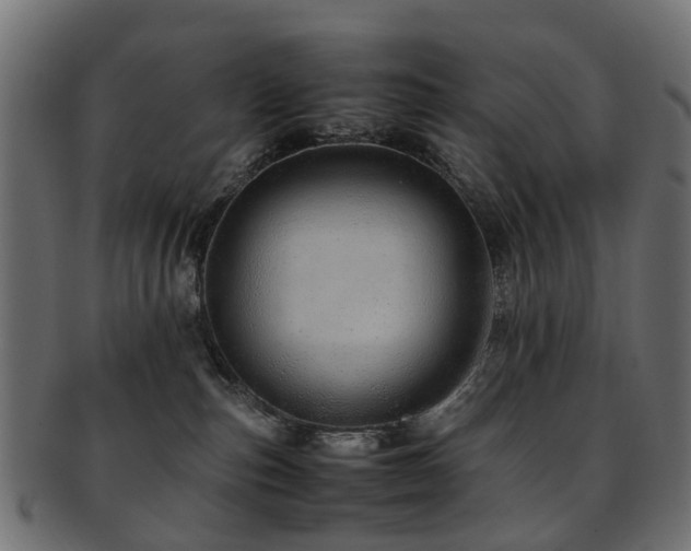 X0000093230187200709261659