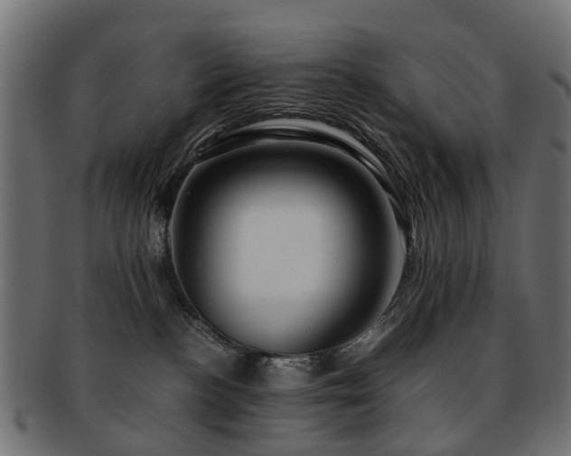 X0000093230188200709261659