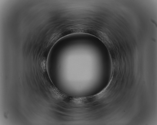 X0000093230190200709261659