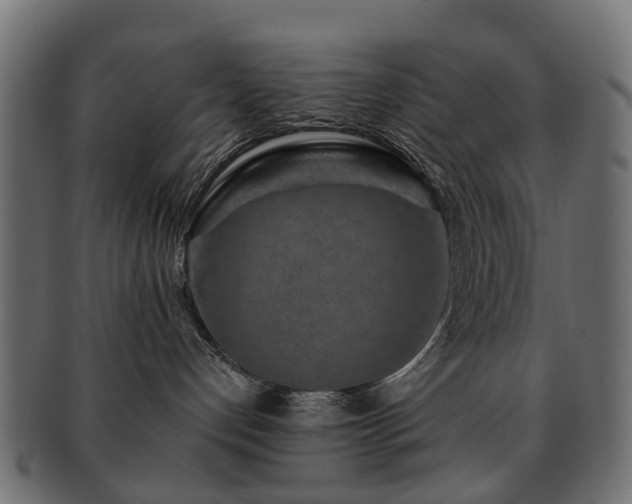 X0000093230192200709261659