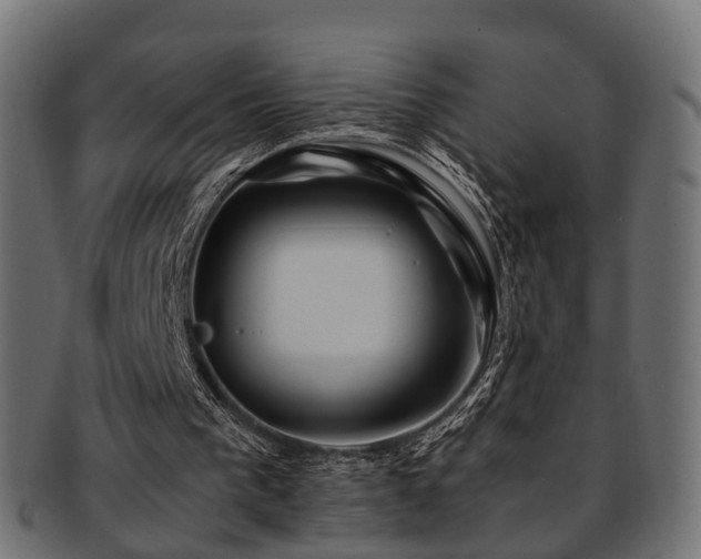 X0000093230193200709261658