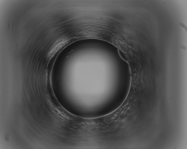 X0000093230194200709261658