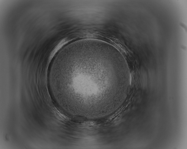 X0000093230195200709261658