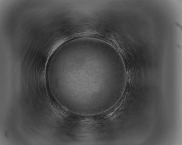 X0000093230196200709261658