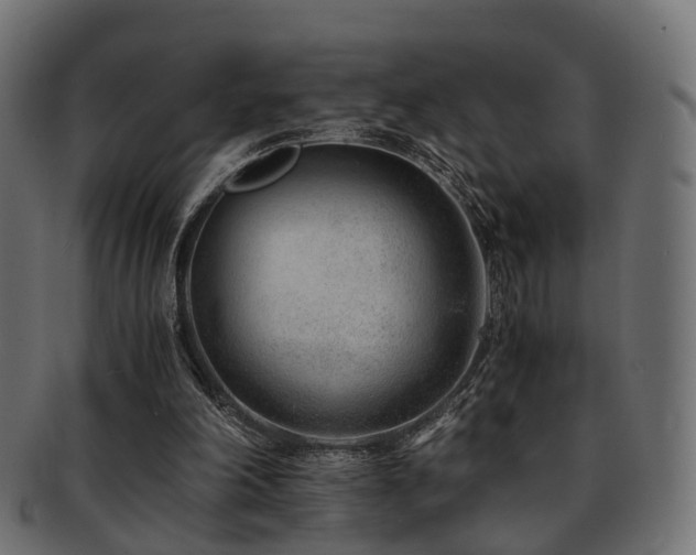 X0000093230198200709261658