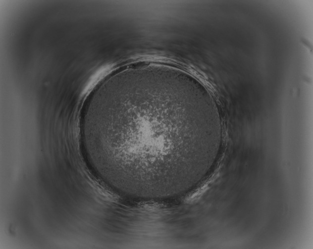 X0000093230199200709261658