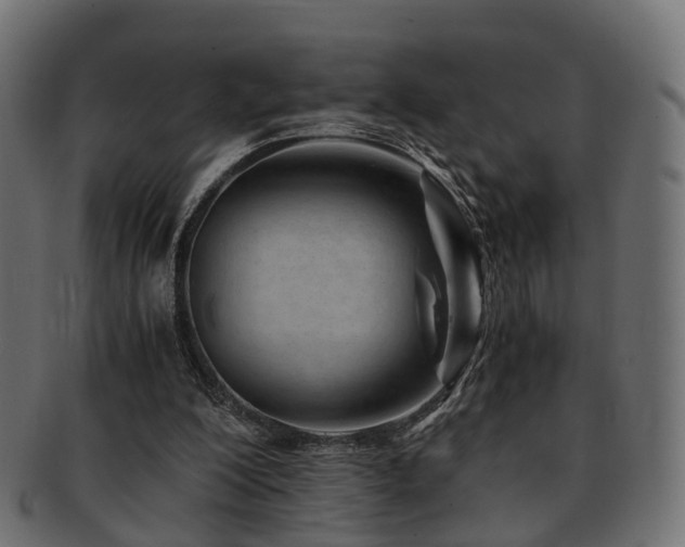 X0000093230200200709261658