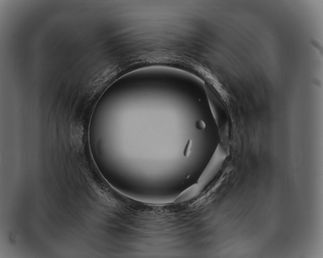 X0000093230201200709261658