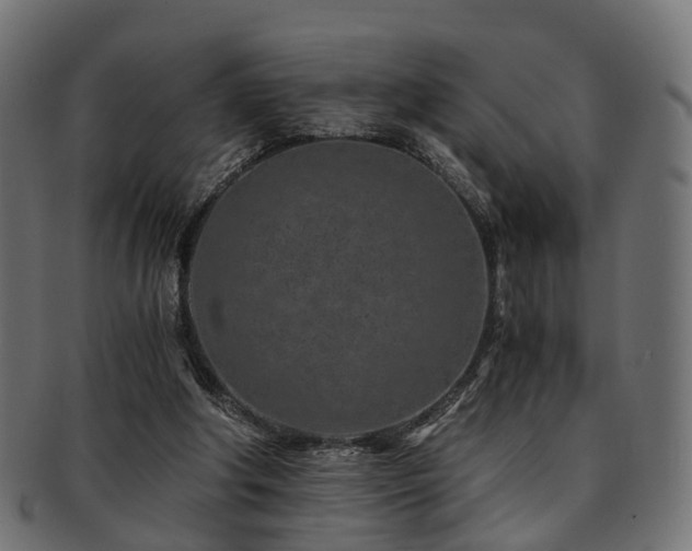 X0000093230202200709261658