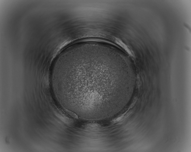 X0000093230203200709261658