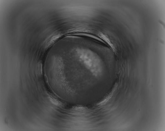 X0000093230205200709261658