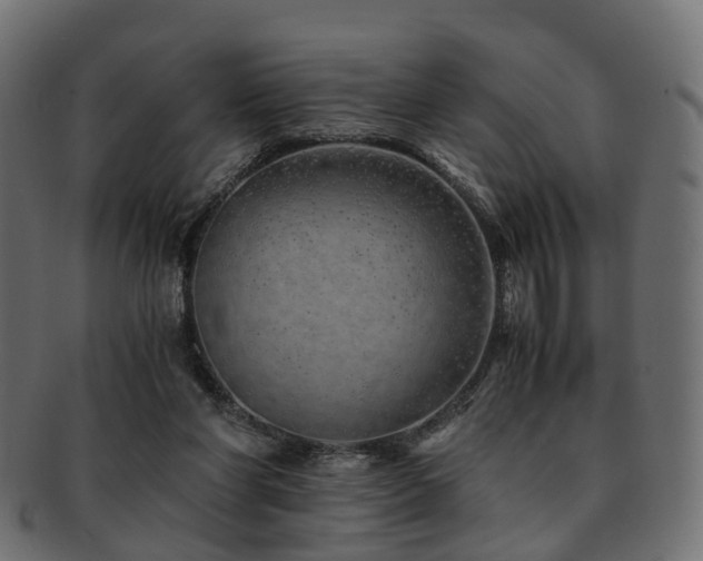 X0000093230206200709261658