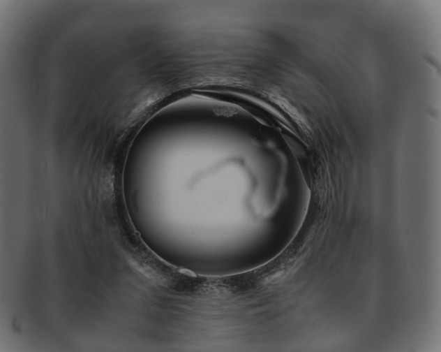 X0000093230207200709261658