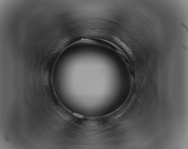 X0000093230209200709261658